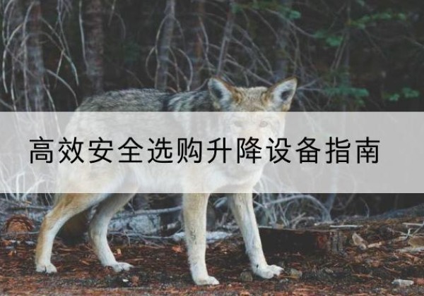 任城升降货梯厂家推荐-*安全选购升降设备指南