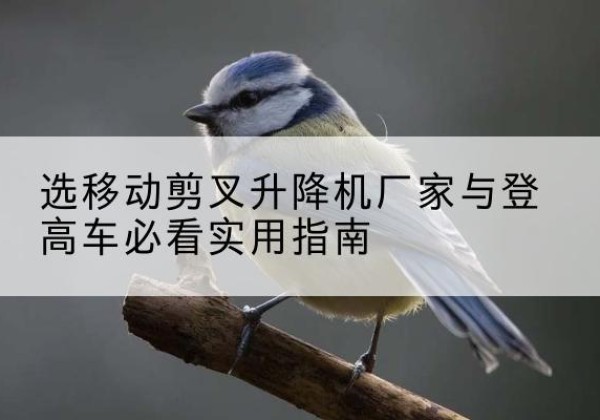 任城电动升降机厂家-选移动剪叉升降机厂家与登高车必看实用指南