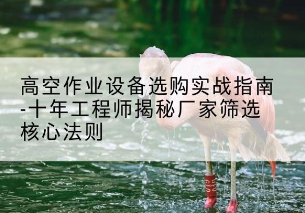 任城剪叉式升降机厂家-高空作业设备选购实战指南-十年工程师揭秘厂家筛选核心法则